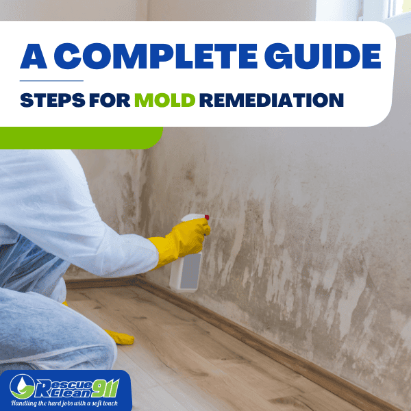 What is mold Steps for mold removal and remediation