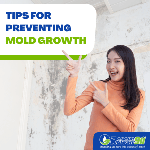 best mold restoration company