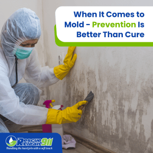 health concerns related to molds