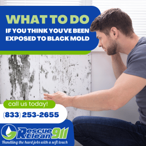 how to prevent black mold spores