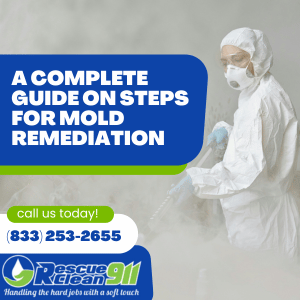 how to prevent future mold growth