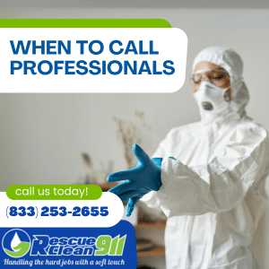how to prevent mold spores from spreading
