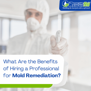 mold remediation contractor near me