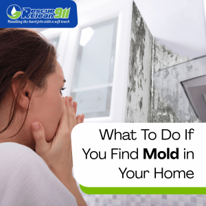 mold remediation process