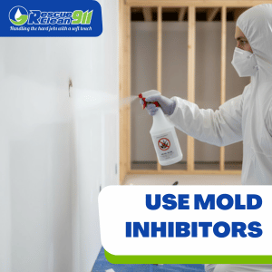 mold removal cost