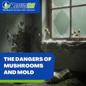 steps to prevent mold growth