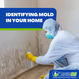 what to do if you are exposed to mold