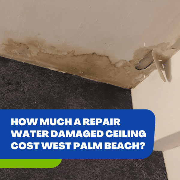 Repair Water Damaged Ceiling Cost West Palm Beach