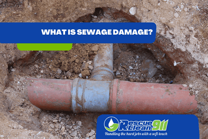 What Is Sewage Damage