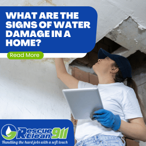 cost effective water damage inspection