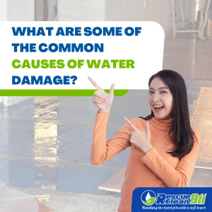 cost in repairing water damage in west palm beach