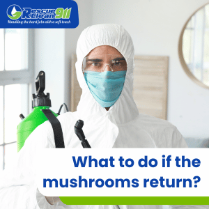 health effects of the present of mushrooms