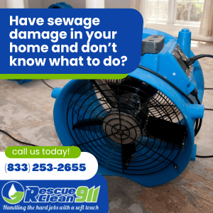 insurance company for sewage damage restoration