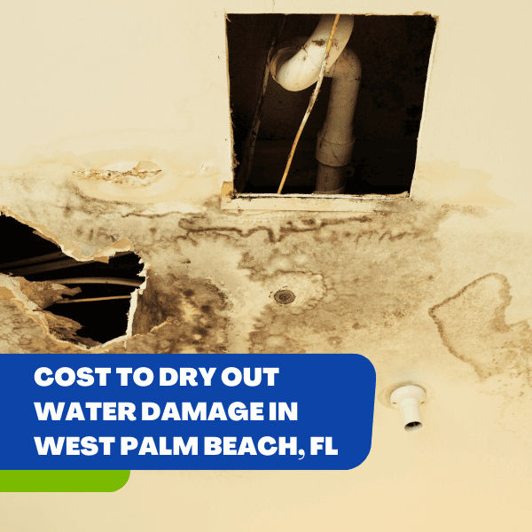 mold remediation in west palm beach