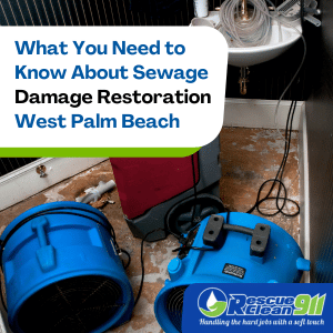 sewage damage restoration west palm beach