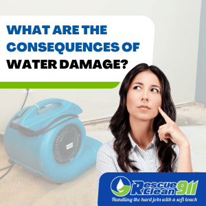 west palm beach restoration services