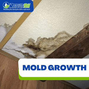 water leak detection company in west palm beach