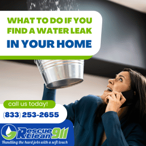 why do you need water leak remediation west palm beach