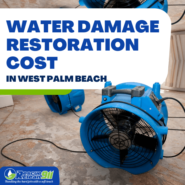 Water Damage Restoration Costs