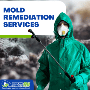 emergency restoration services in west palm beach