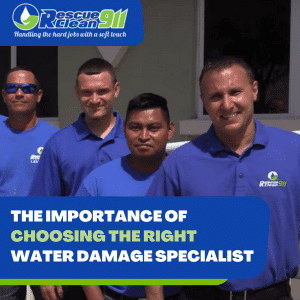 local business for water damage restoration