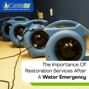 professional water damage restoration in palm beach county