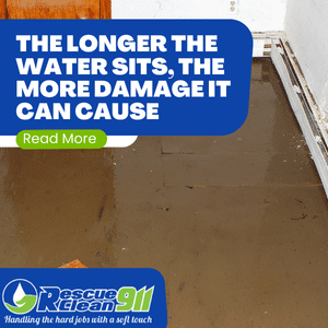 professional water damage restoration in west palm beach