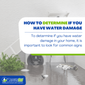 water damage company in south florida