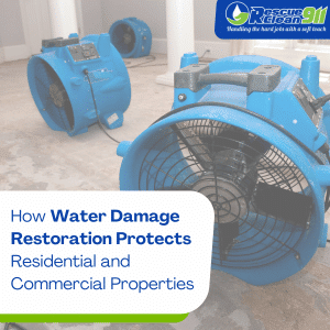 water damage services in west palm beach
