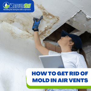 Air Duct Cleaning