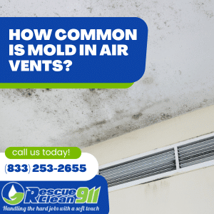 Mold in Your Air Vents_ Signs, Symptoms, Prevention, and Removal