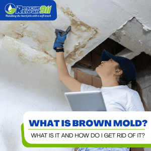 brown mold what is it and how do i get rid of it