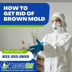 cleaning solution for brown molds