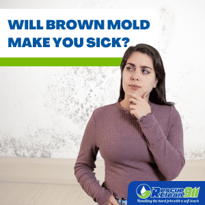 health concerns related to brown mold