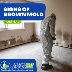 how much is mold testing