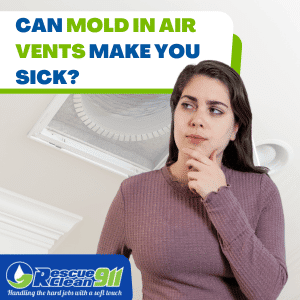 mold remediation services near me