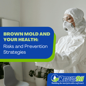 molds grow in warm environments