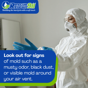 professional mold removal company