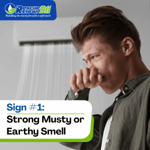 stachybotrys chartarum