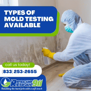 types of mold in air vents