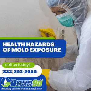 companies who offer mold remediation