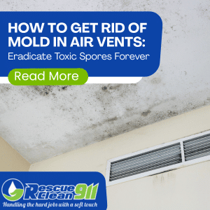 How to Get Rid of Mold in Air Vents