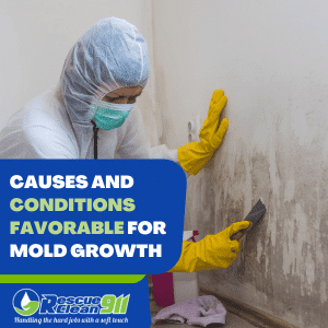 cause of mold growth in air vents