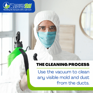ductwork mold removal services