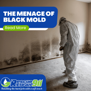 how to remove mold in hvac system