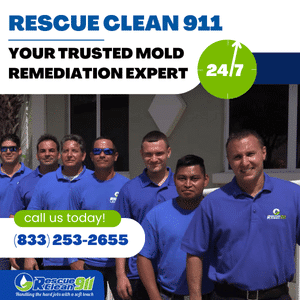 baking soda to kill mold