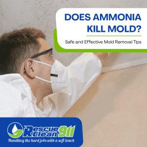 does ammonia kill mold