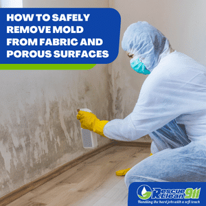 grapefruit seed extract