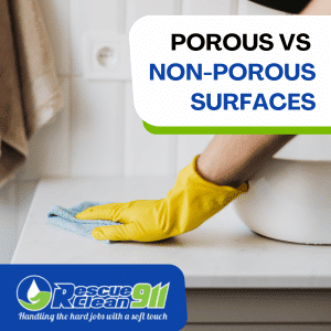 grapefruit seed to kill mold