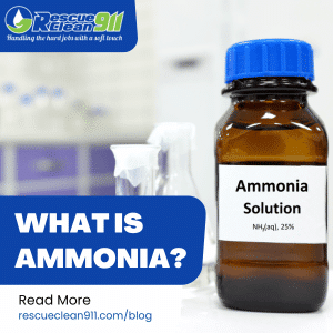 safer alternatives to kill mold